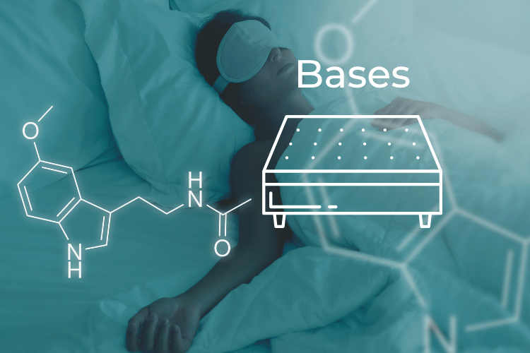 Bases - Box