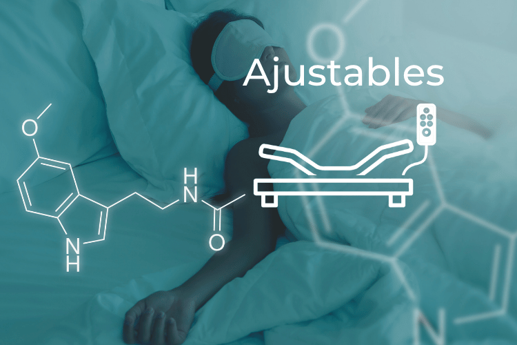 Bases Ajustables - Camas Eléctricas